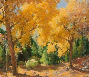 Cottonwoods, Cedar & Sage-taos Canon Cottonwoods, Cedar & Sage-taos Canon