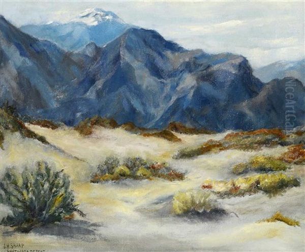 Santa Rosa Desert - view 1