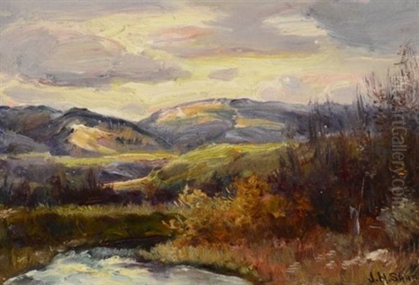 Montana Landscape - view 1