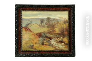 Farm Fields With Stream