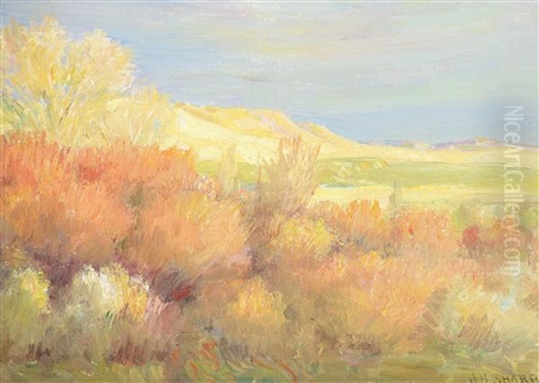 Sage Country - view 1