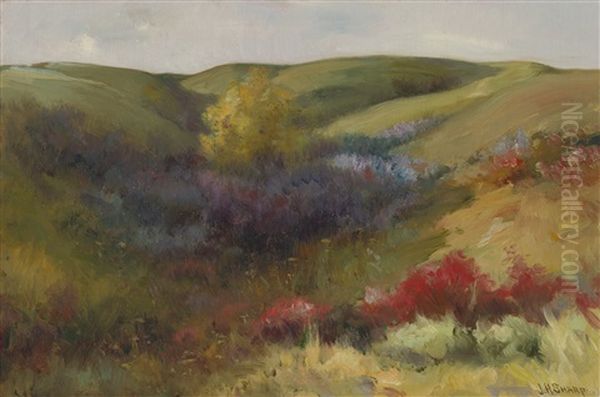 Rolling Hills - view 1