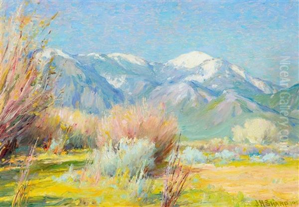 Taos Mountain New Mexico, Early Spring - view 1