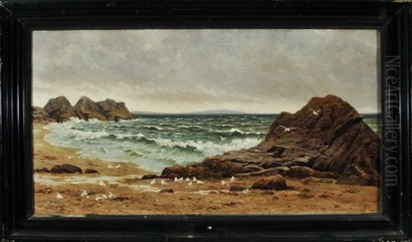 Kustenlandschaft Mit Felsen Und Mowen Bei Aufkommendem Unwetter - view 1