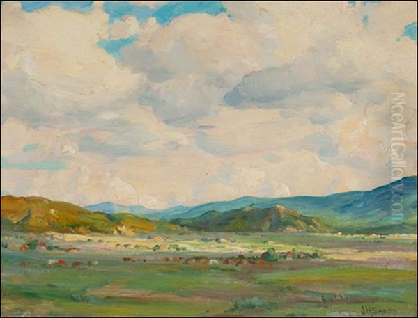 Summer Clouds, Taos Valley - view 1