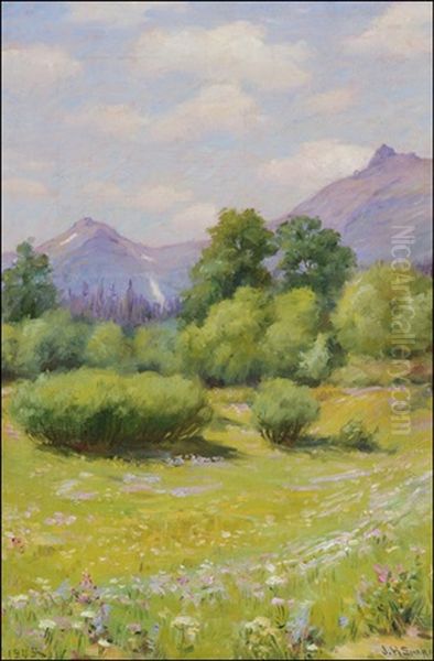 Wildflowers In Blackfoot Country - view 1