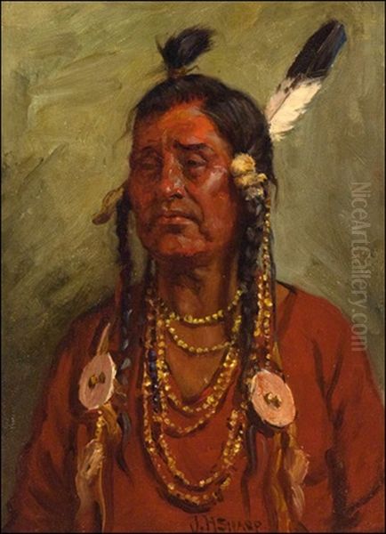 Chief Big Brave - view 1