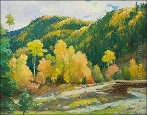 Aspens In Hondo Creek