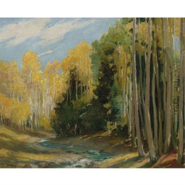 Aspen Forest, Hondo Canyon Near Taos (aspen Faces) - view 1