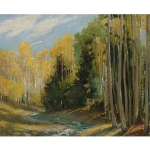 Aspen Forest, Hondo Canyon Near Taos (aspen Faces)