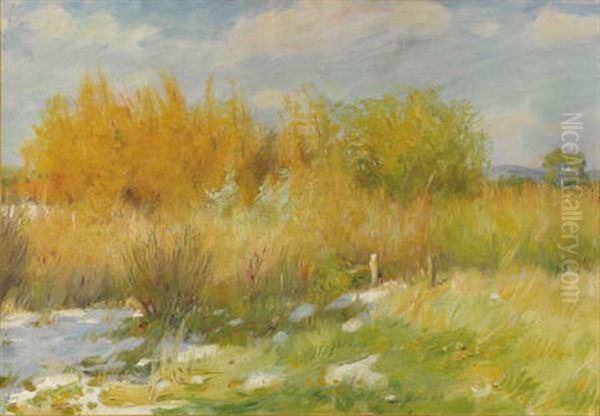 Willows And Weeds - view 1