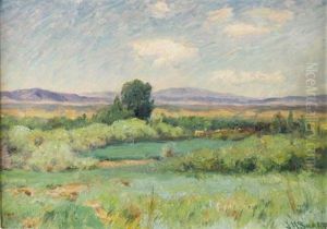 Green Ponds
