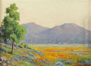 California Field Of Poppies