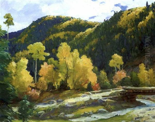 Aspens In Hondo Creek In October - view 1