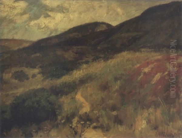Purple Mountains - view 1