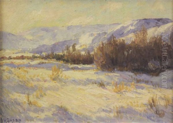 The Big Horn Mountains, Crow Reservation, Montana - view 1