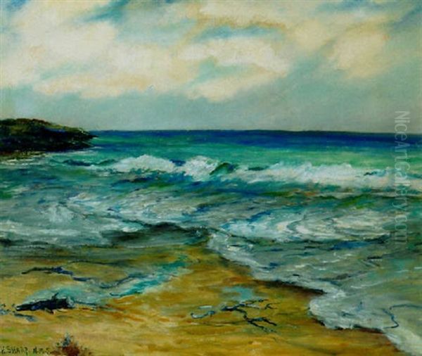 Waves On The Shore - view 1
