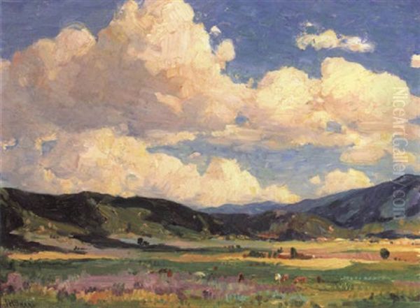 Summer Clouds, Taos Valley - view 1