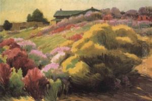 Hillside In The Spring