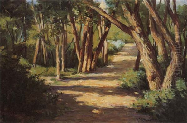 Park Along The Cottonwoods-taos - view 1
