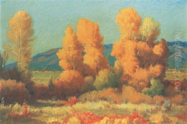 Autumn Cottonwoods, Near The Pueblo, Taos - view 1