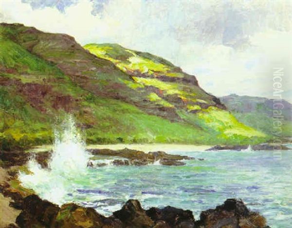Waianae Coast, Honolulu - view 1