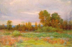 Montana Landscape