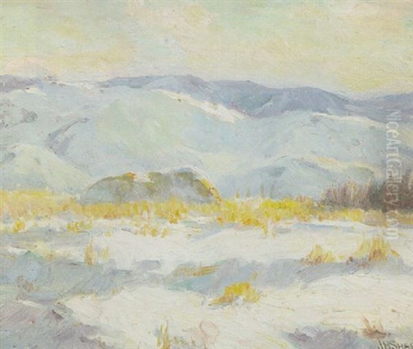Big Horn Mountains - view 1