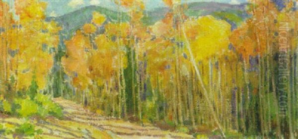 Colorado Aspens - view 1