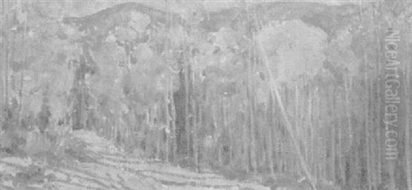 Aspens - view 1