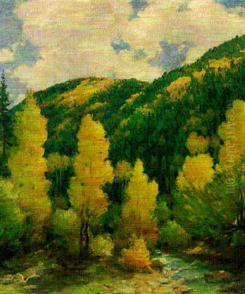 Aspens At Hawkeye Creek Near Taos - view 1