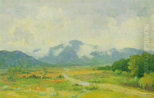 The Clearing After The Rain - view 1