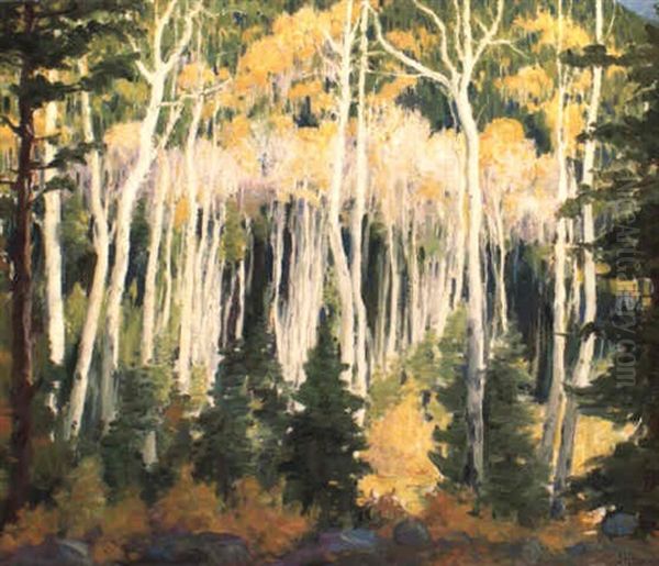Aspens At Hondo - view 1