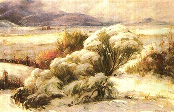 Winter Afternoon - view 1