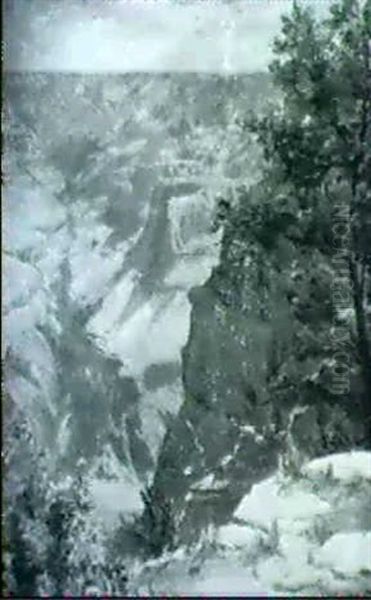 Bright Angel Creek, Grand Canyon, Arizona - view 1