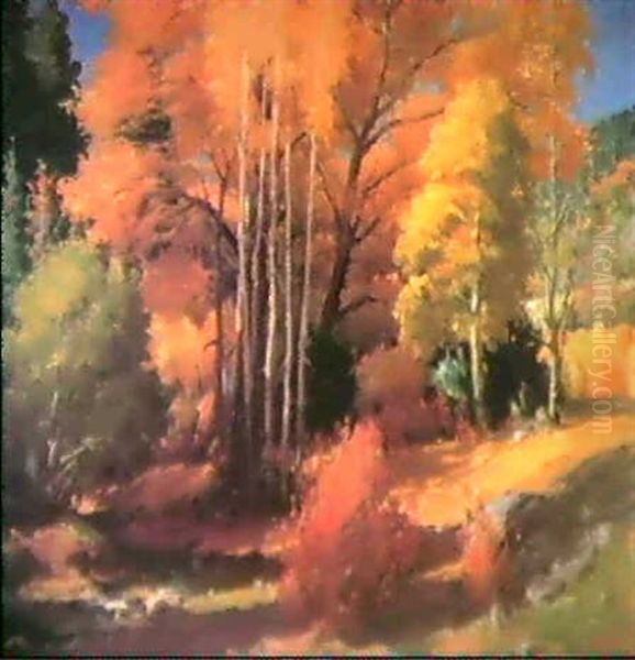 Aspens, Cottonwoods And Spruce, Taos Canyon - view 1