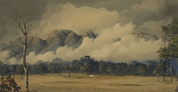 Bucket Mountains, Gloucester, New South Wales - view 1