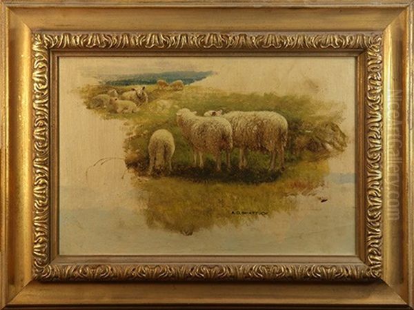 Sheep In The Field - view 1