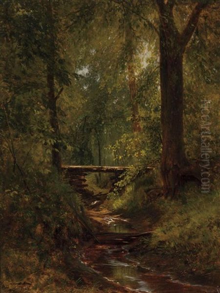 Woodland Interior - view 1