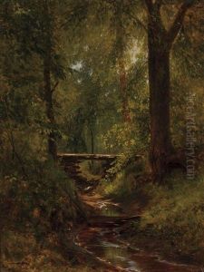 Woodland Interior