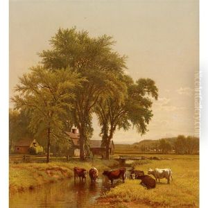 Cows Watering On The Farm