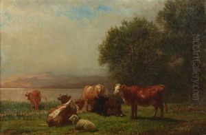 Grazing Along The Water