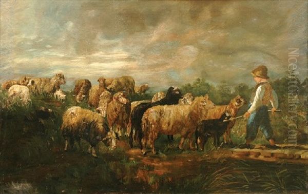 Young Sheppard With Sheep - view 1