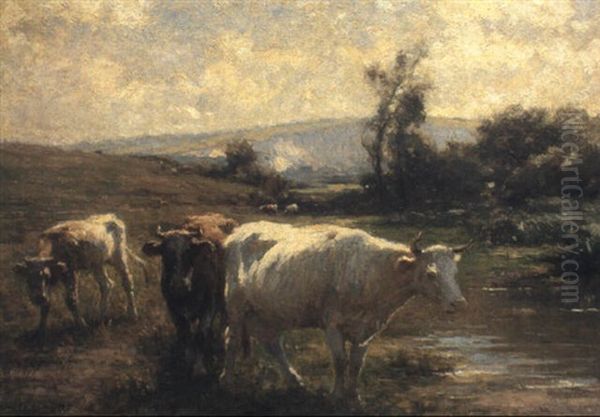 The Meadow Stream - view 1