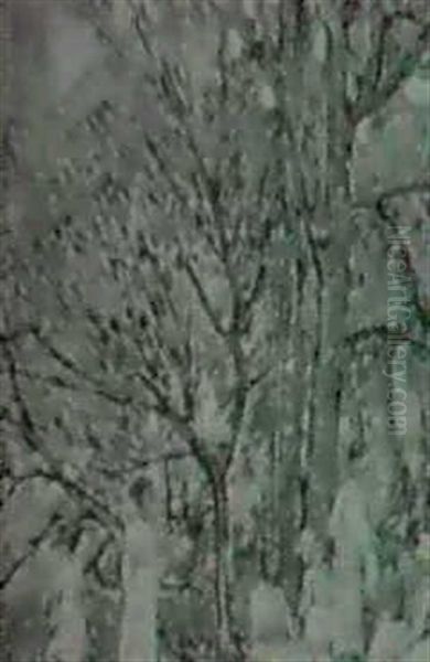Picnic In The Woods - view 1