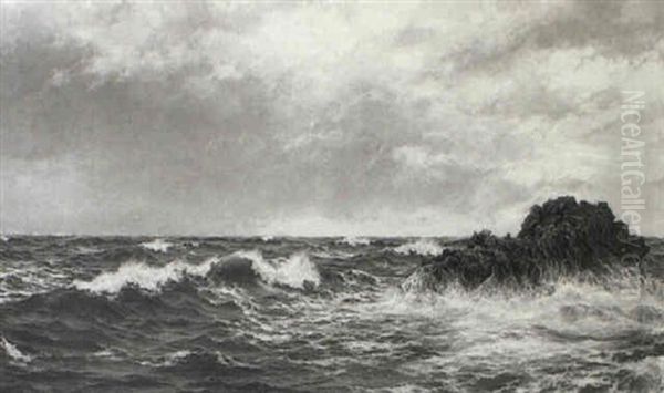 The Tireless Sea - view 1