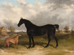 Whippet And Black Cob