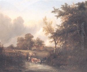 Cattle Watering
