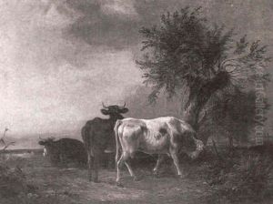 Cattle Grazing