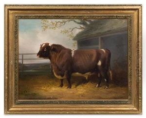 Portrait Of A Bull, 1867 by William Joseph Shayer